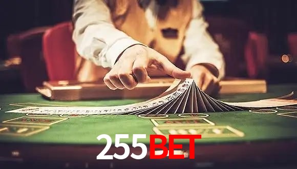 Blackjack Table 255bet